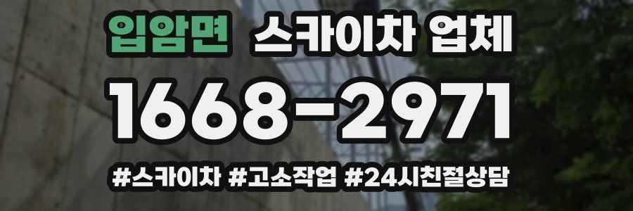 입암면 스카이차 업체