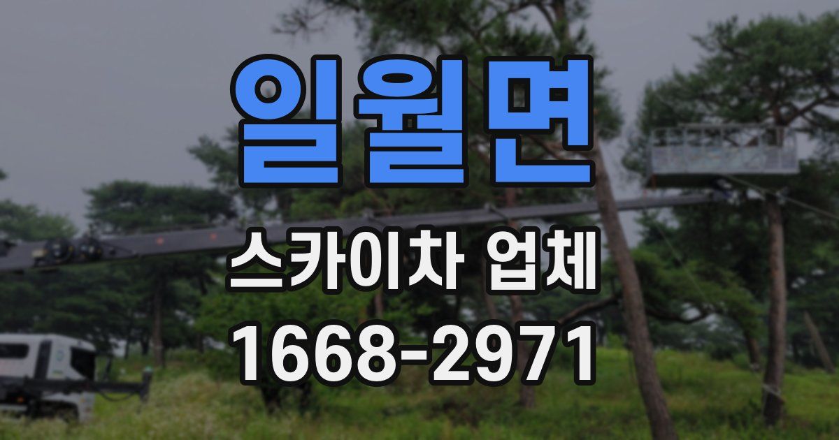 일월면 스카이차 업체