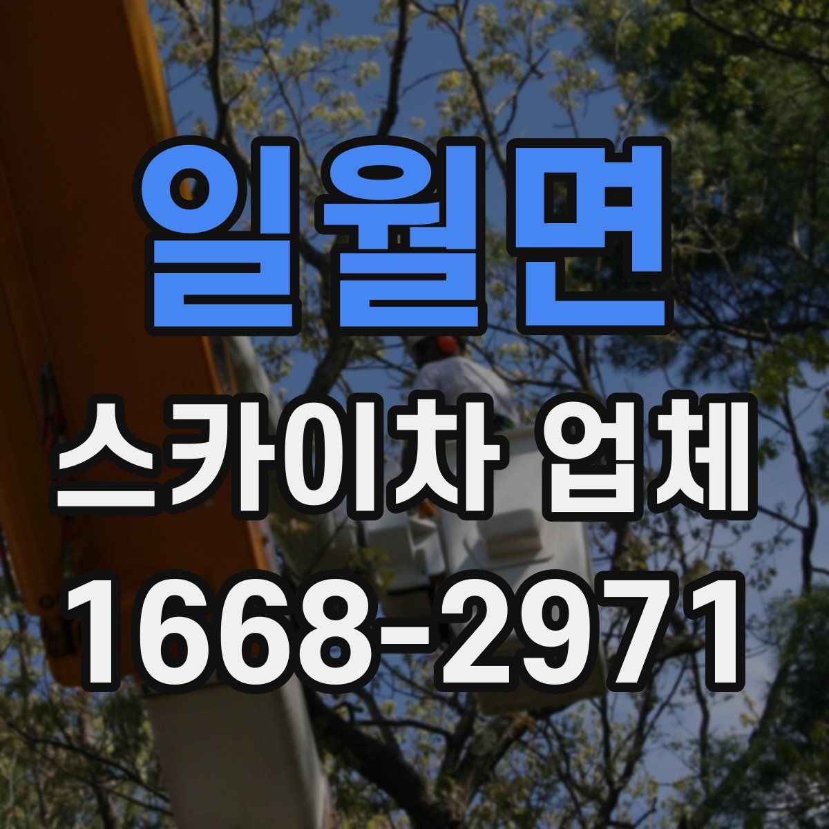 일월면 스카이차 업체
