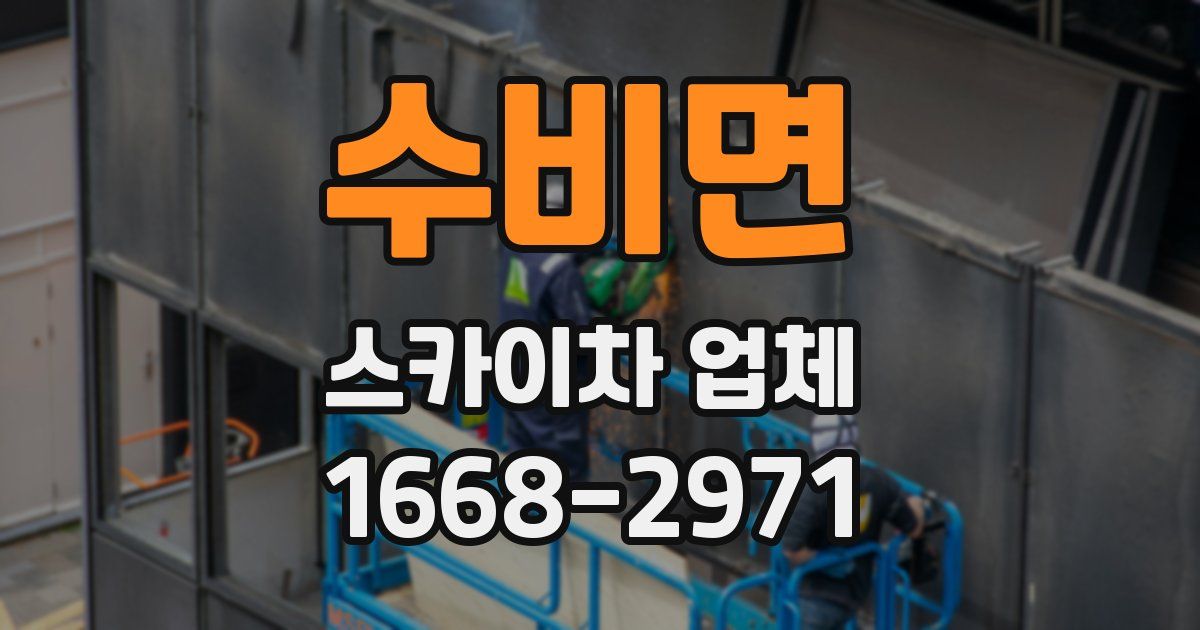 수비면 스카이차 업체