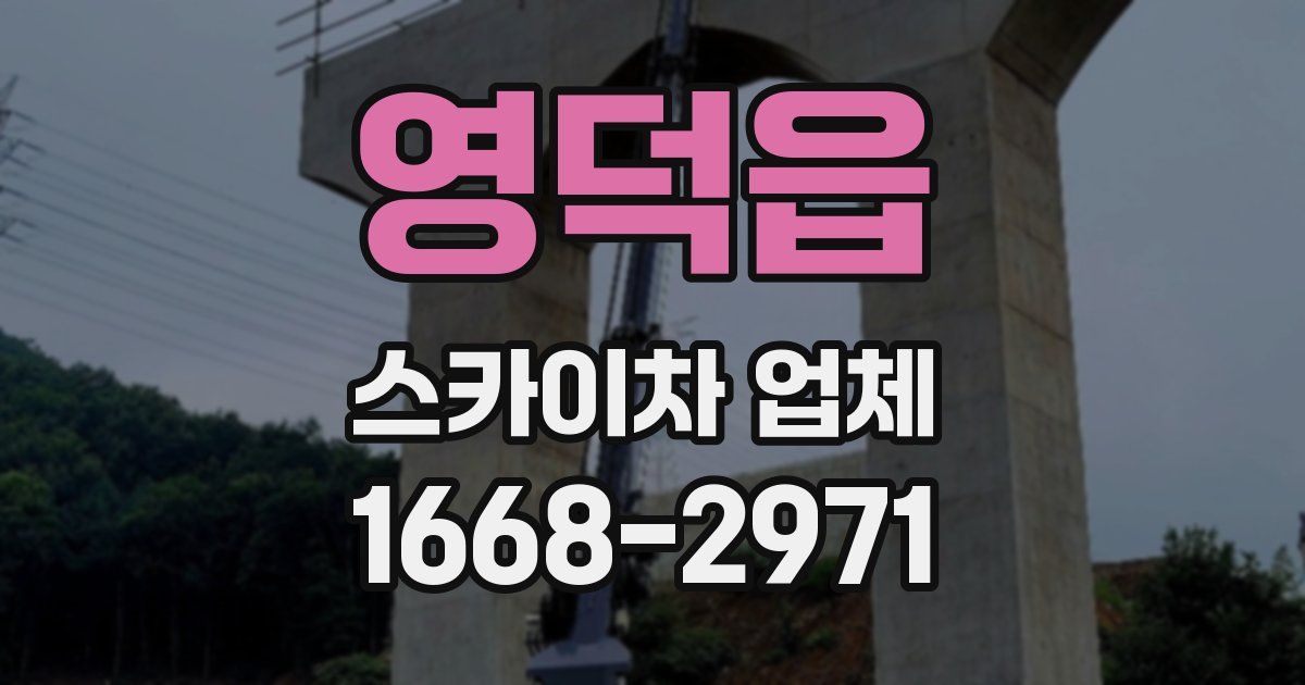 영덕읍 스카이차 업체