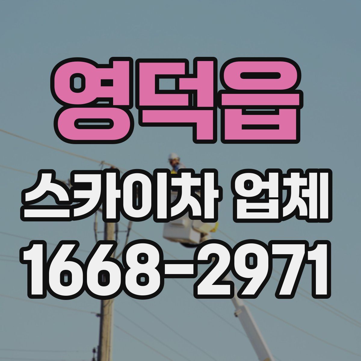 영덕읍 스카이차 업체