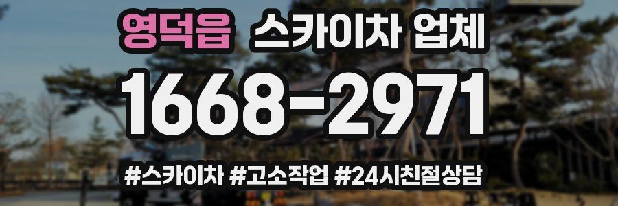 영덕읍 스카이차 업체