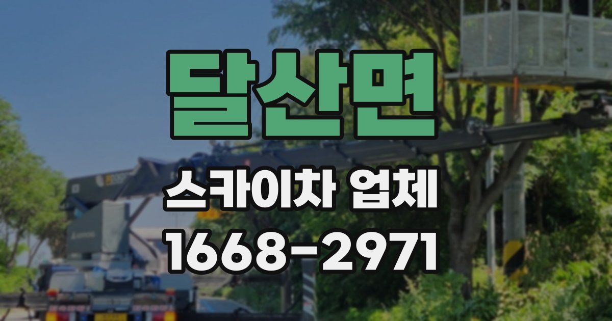 달산면 스카이차 업체