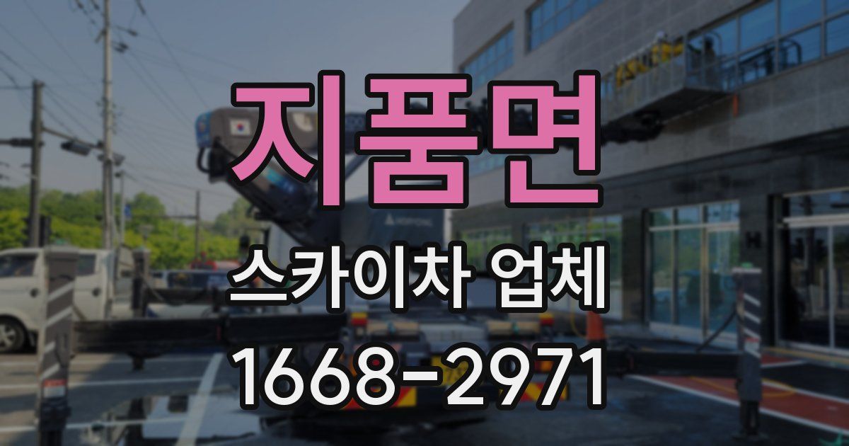 지품면 스카이차 업체