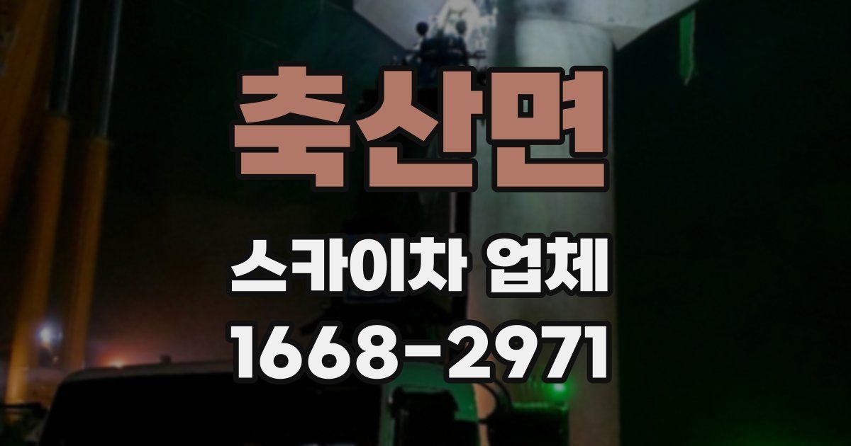 축산면 스카이차 업체