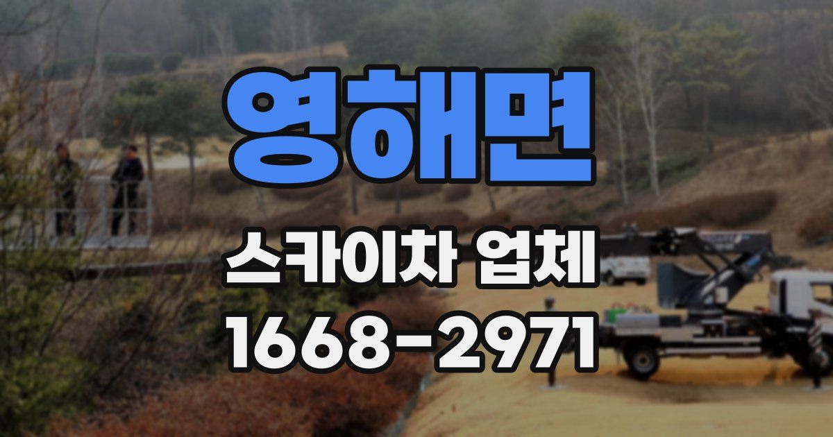 영해면 스카이차 업체