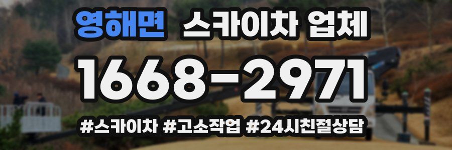 영해면 스카이차 업체