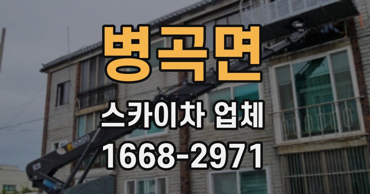 병곡면 스카이차 업체