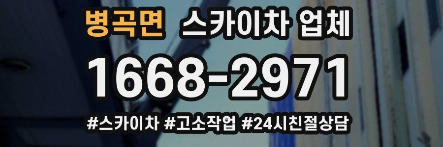병곡면 스카이차 업체