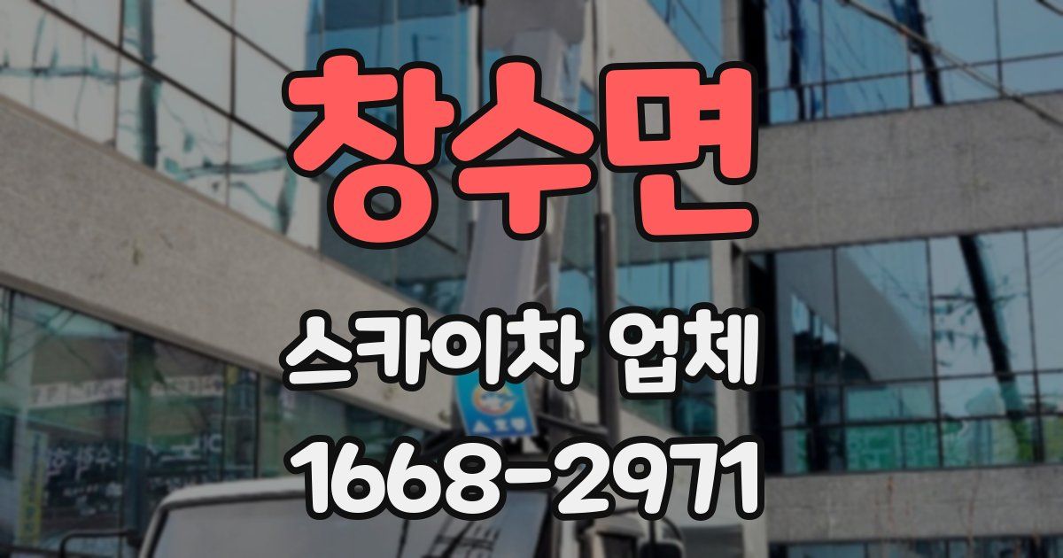 창수면 스카이차 업체