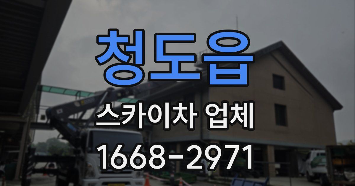 청도읍 스카이차 업체