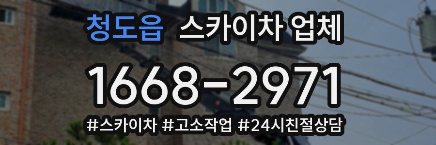 청도읍 스카이차 업체