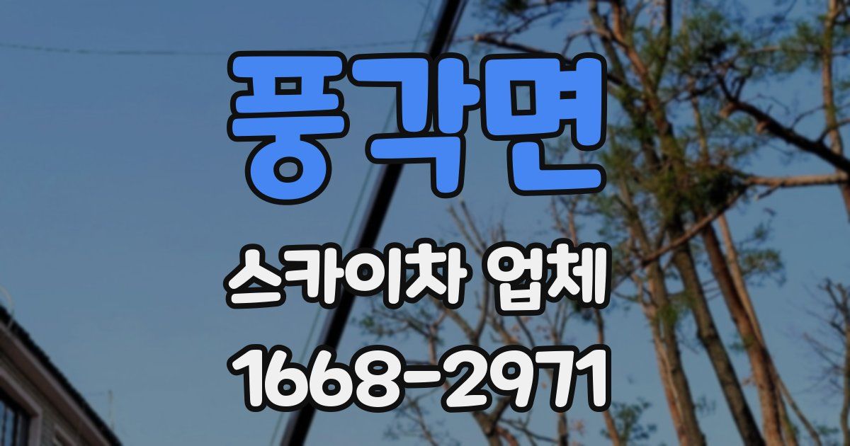 풍각면 스카이차 업체