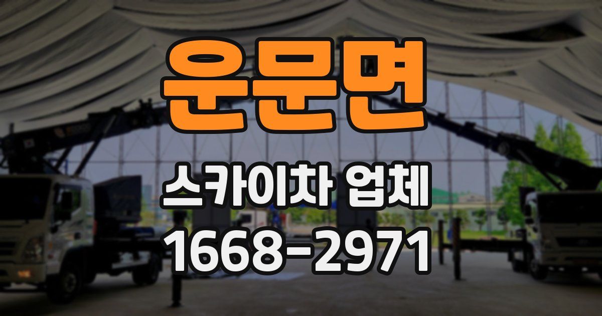 운문면 스카이차 업체