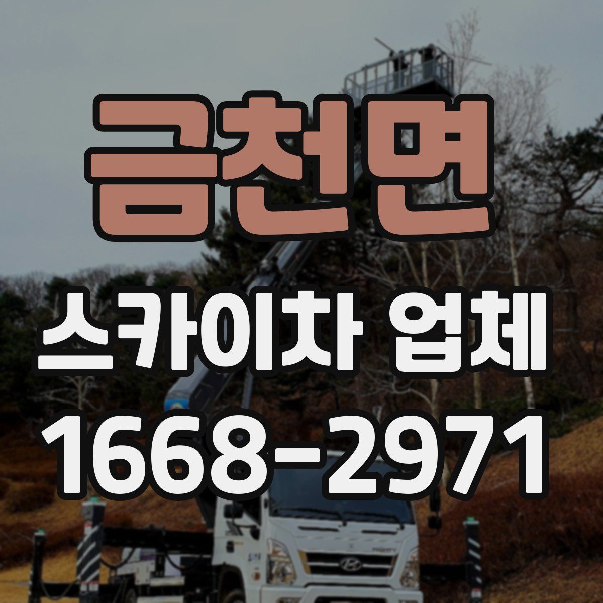 금천면 스카이차 업체