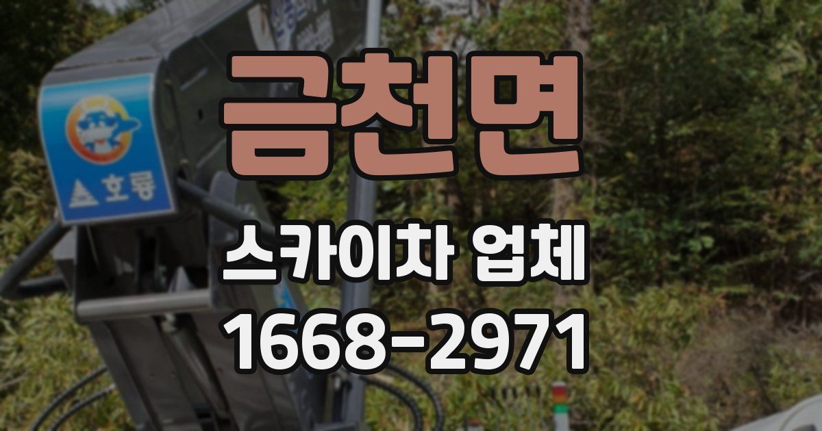 금천면 스카이차 업체