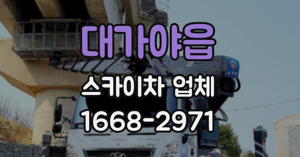 대가야읍 스카이차 업체