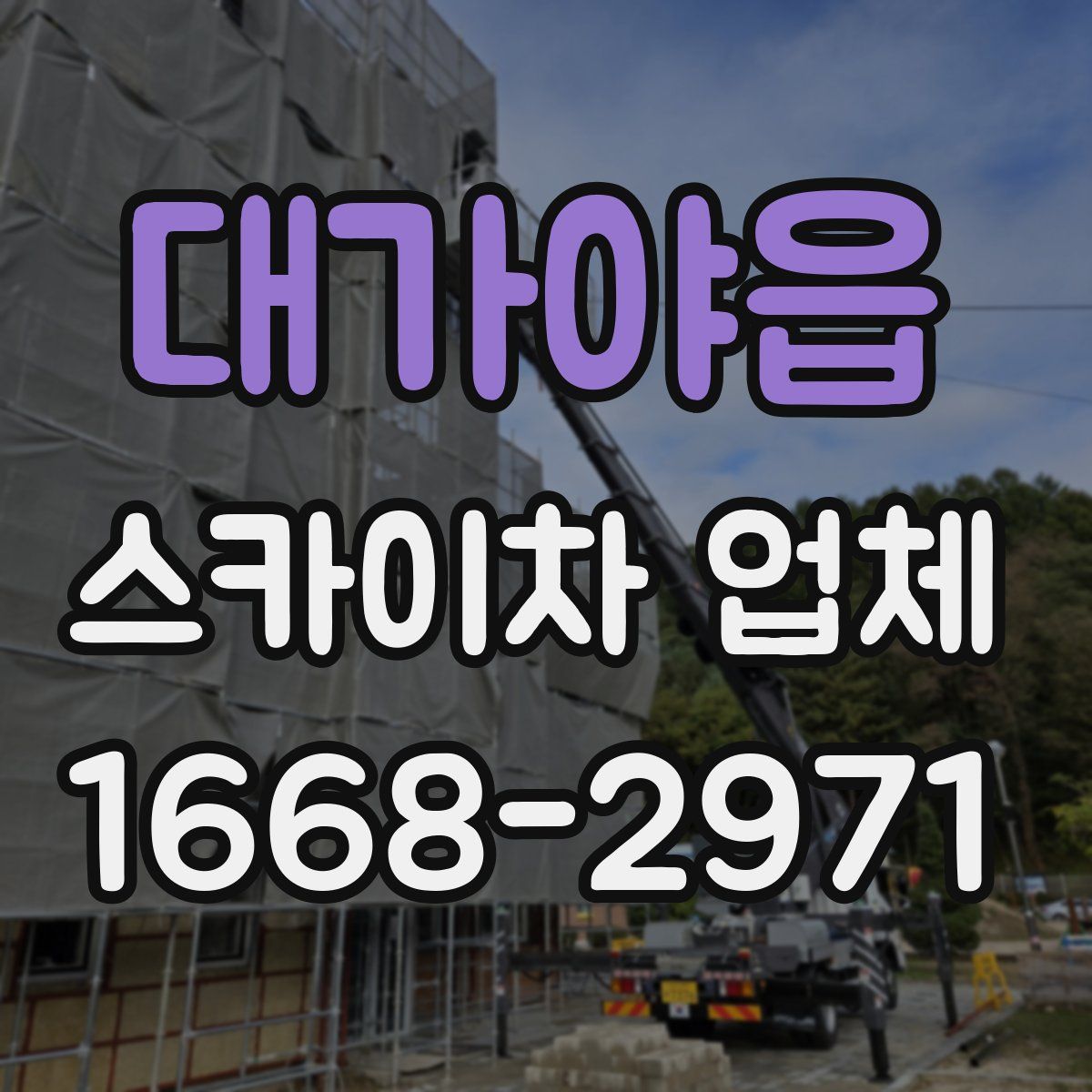 대가야읍 스카이차 업체