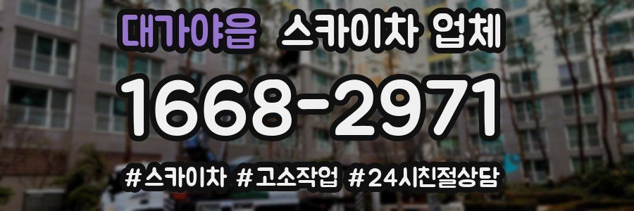 대가야읍 스카이차 업체