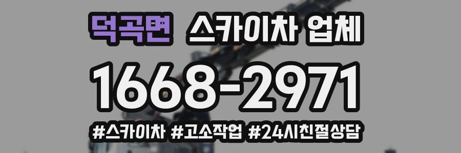 덕곡면 스카이차 업체