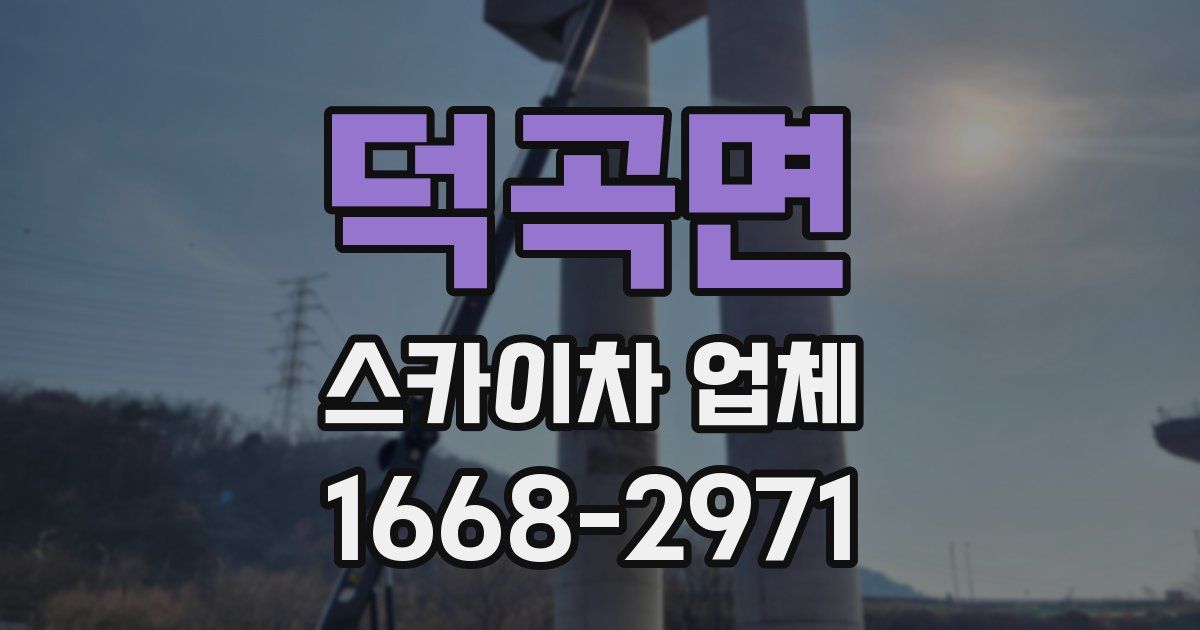 덕곡면 스카이차 업체