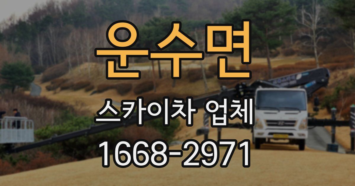 운수면 스카이차 업체