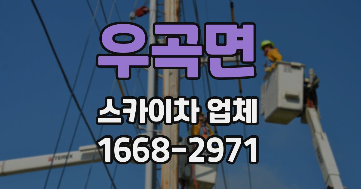 우곡면 스카이차 업체