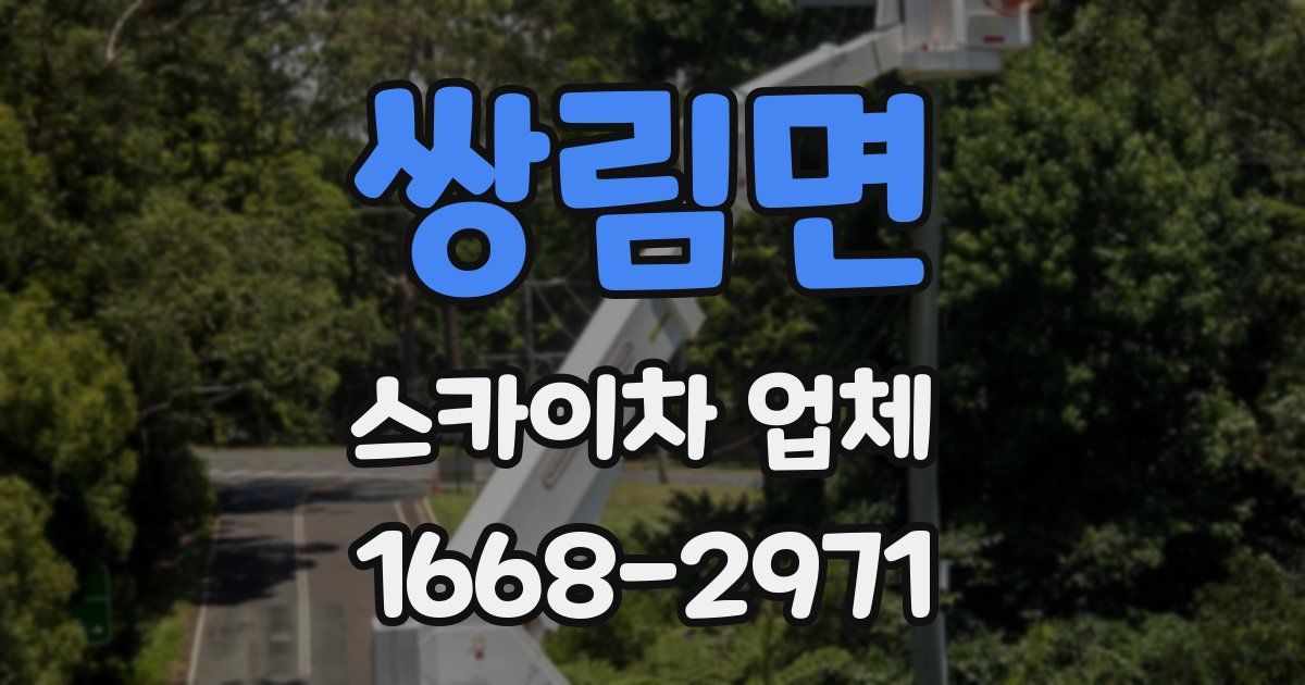 쌍림면 스카이차 업체