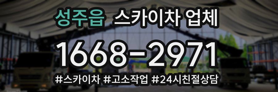 성주읍 스카이차 업체