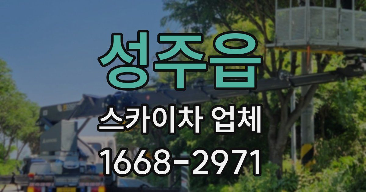 성주읍 스카이차 업체