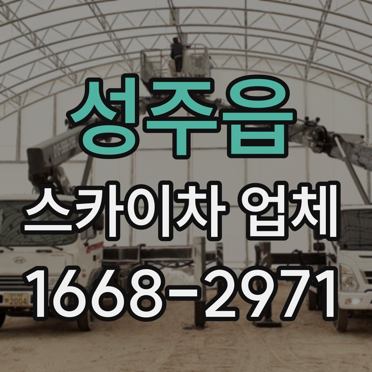 성주읍 스카이차 업체