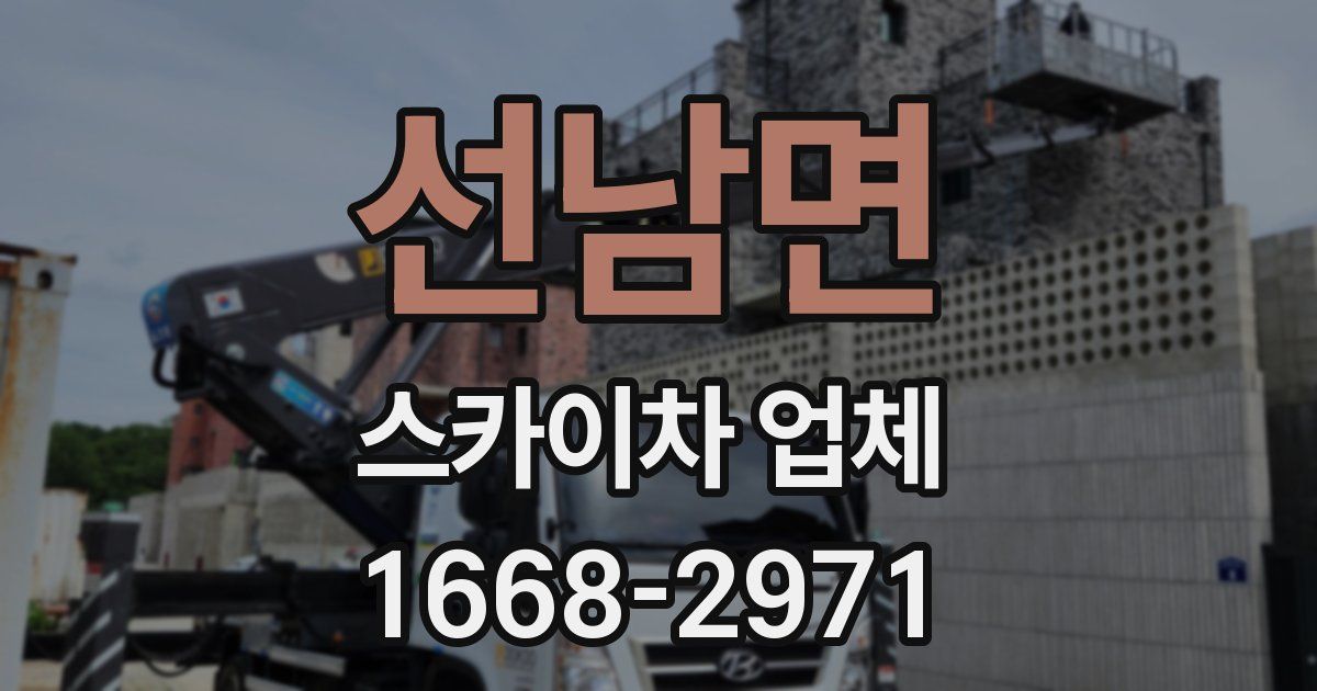 선남면 스카이차 업체