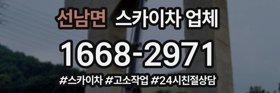 선남면 스카이차 업체