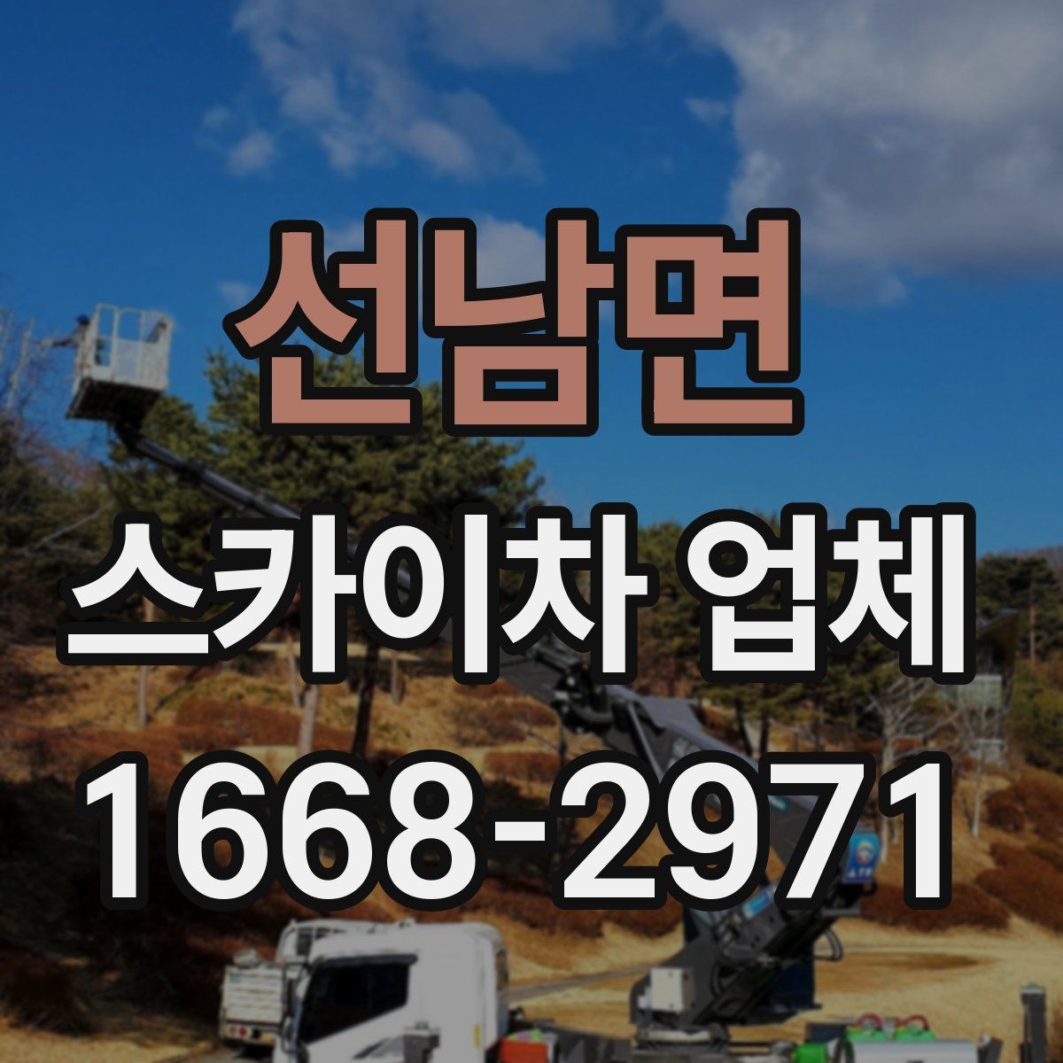 선남면 스카이차 업체