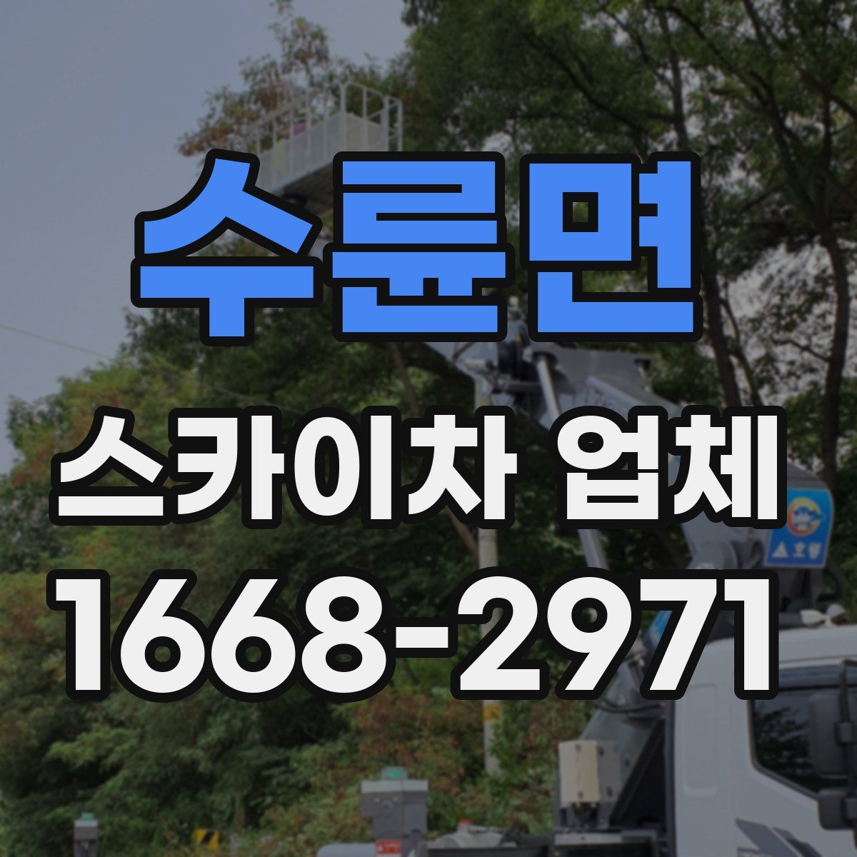 수륜면 스카이차 업체