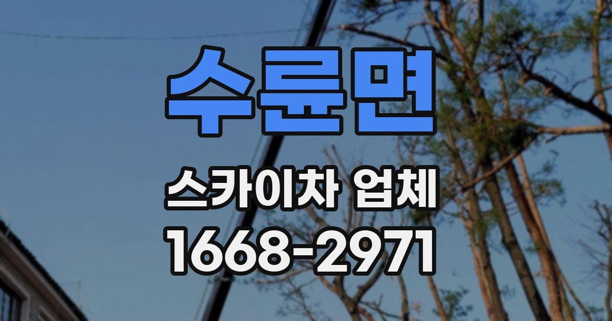 수륜면 스카이차 업체