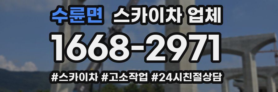 수륜면 스카이차 업체