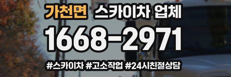 가천면 스카이차 업체