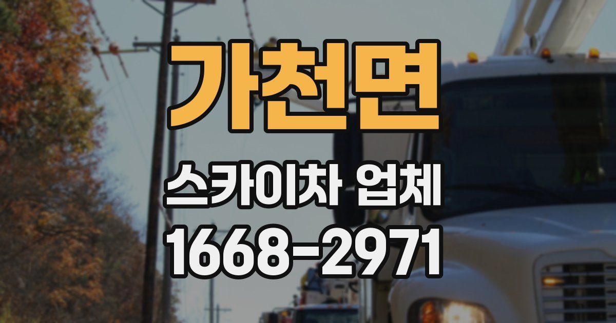 가천면 스카이차 업체