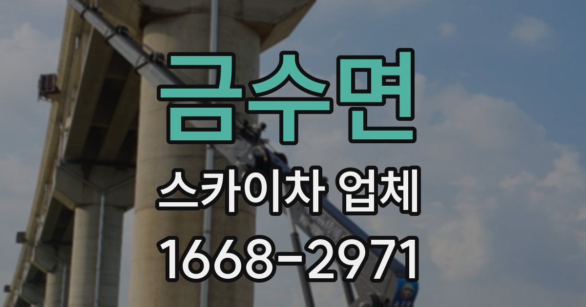 금수면 스카이차 업체