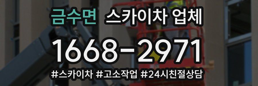 금수면 스카이차 업체
