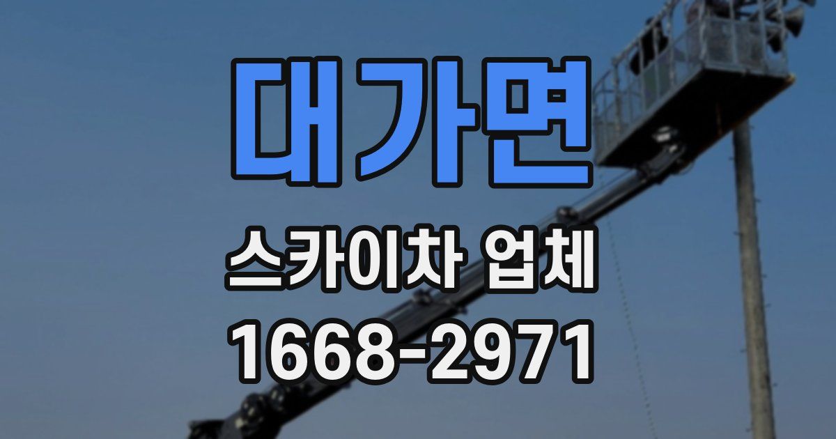 대가면 스카이차 업체