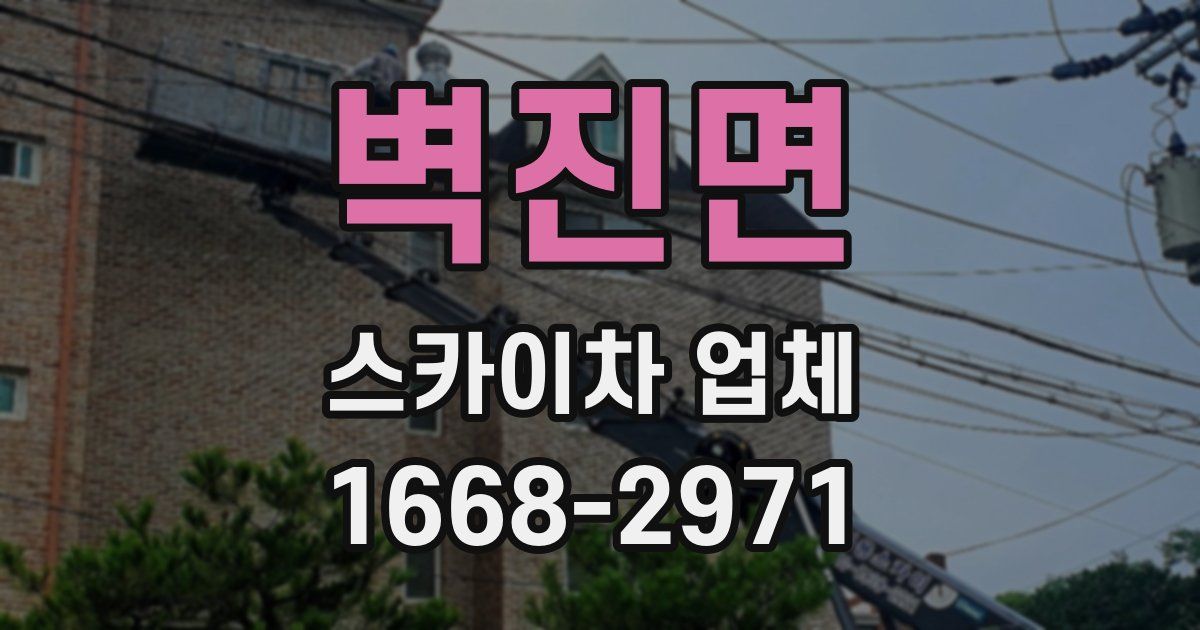 벽진면 스카이차 업체