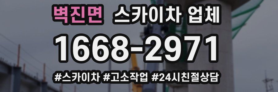 벽진면 스카이차 업체