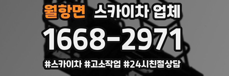 월항면 스카이차 업체