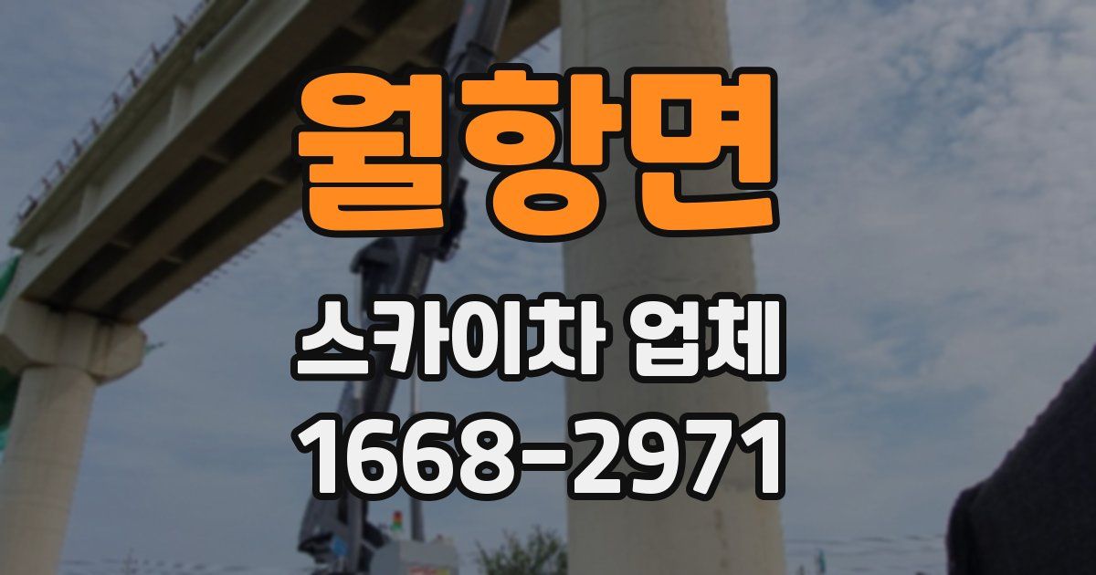 월항면 스카이차 업체