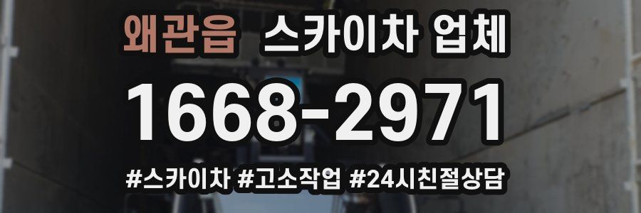 왜관읍 스카이차 업체