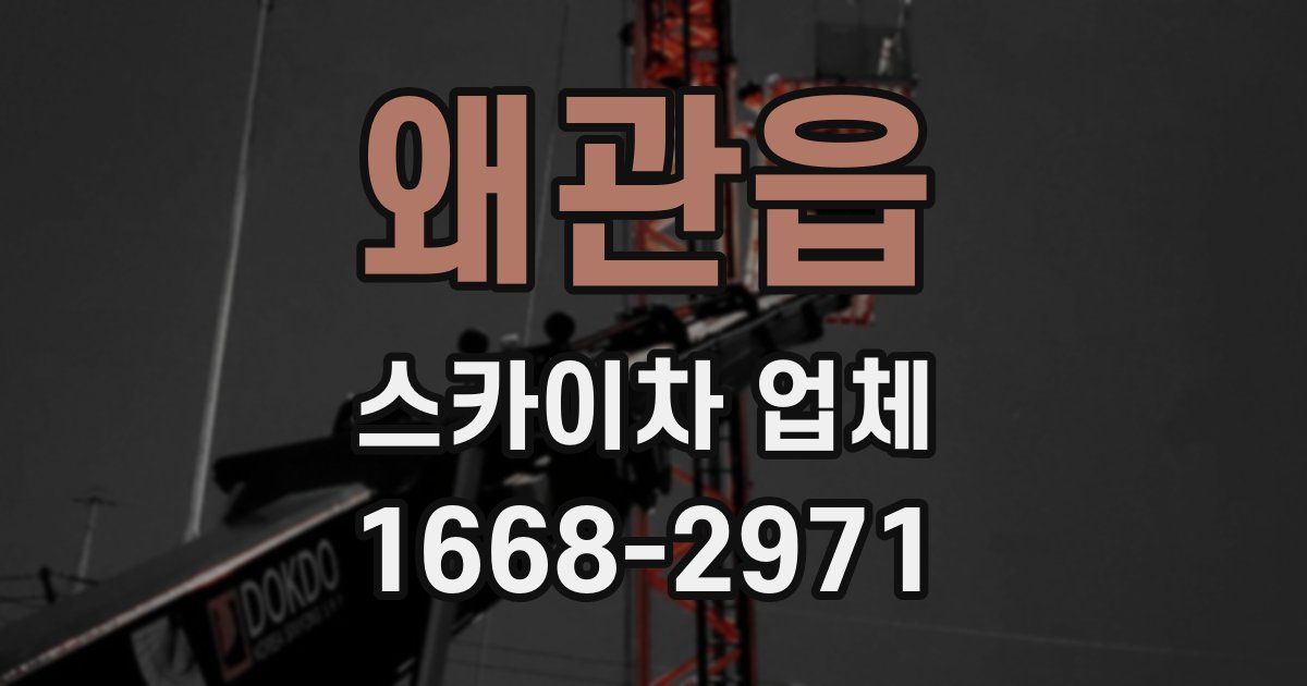 왜관읍 스카이차 업체