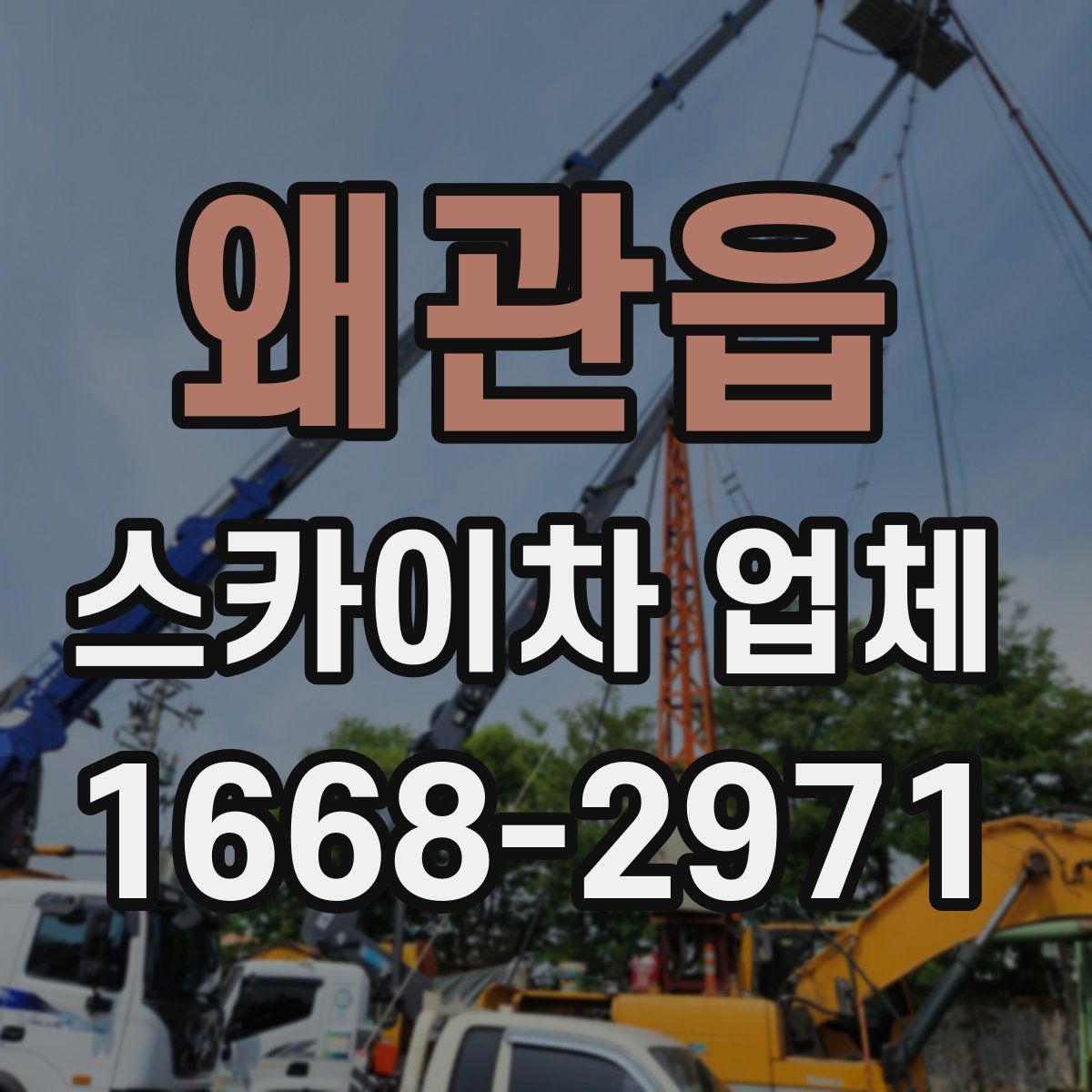왜관읍 스카이차 업체
